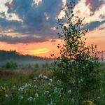 пейзаж природа в наволоках